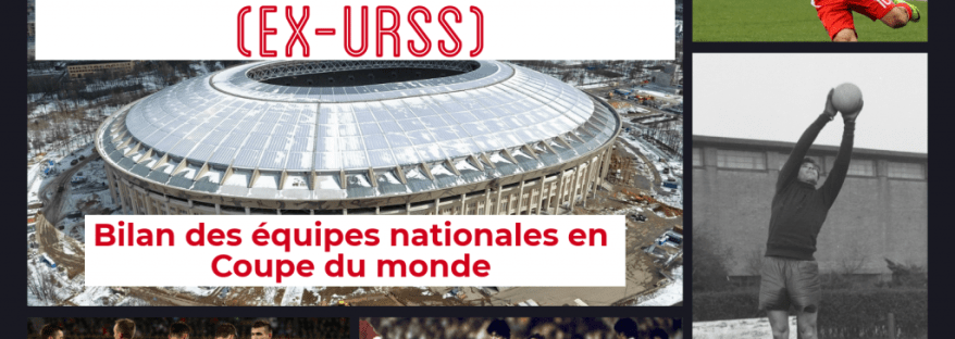 bilan-russie-coupe-du-monde-foot-dinfographies-front